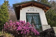 Monte Suchello (1541 m) da Aviatico (1080 m) il 20 febbraio 2019 - FOTOGALLERY